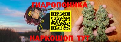 амф Лесосибирск