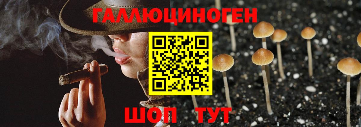 Горно-Алтайск  Псилоцибиновые грибы мицелий  Галлюциногенные грибы Cubensis  сколько стоит  Вход с VPN 